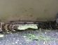 Technische Hilfe Werkstätte DTP-90  » Click to zoom ->